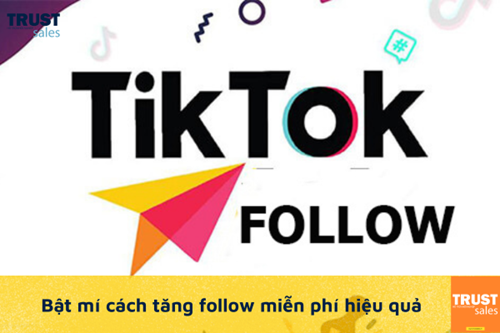 Bật mí những cách tăng follow hiệu quả và miễn phí trên Tiktok